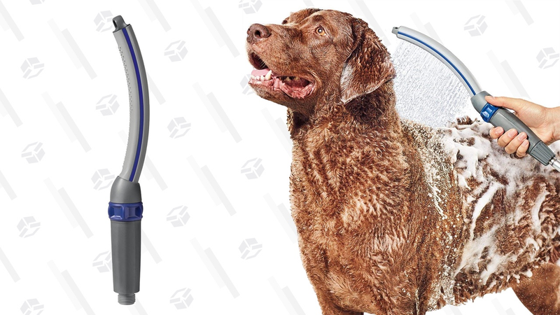 Waterpik Pet Wand Pro | $30 | Amazon Gráfico: Shep McAllister